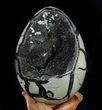 Septarian Dragon Egg Geode - Shiny Black Crystals #36049-3